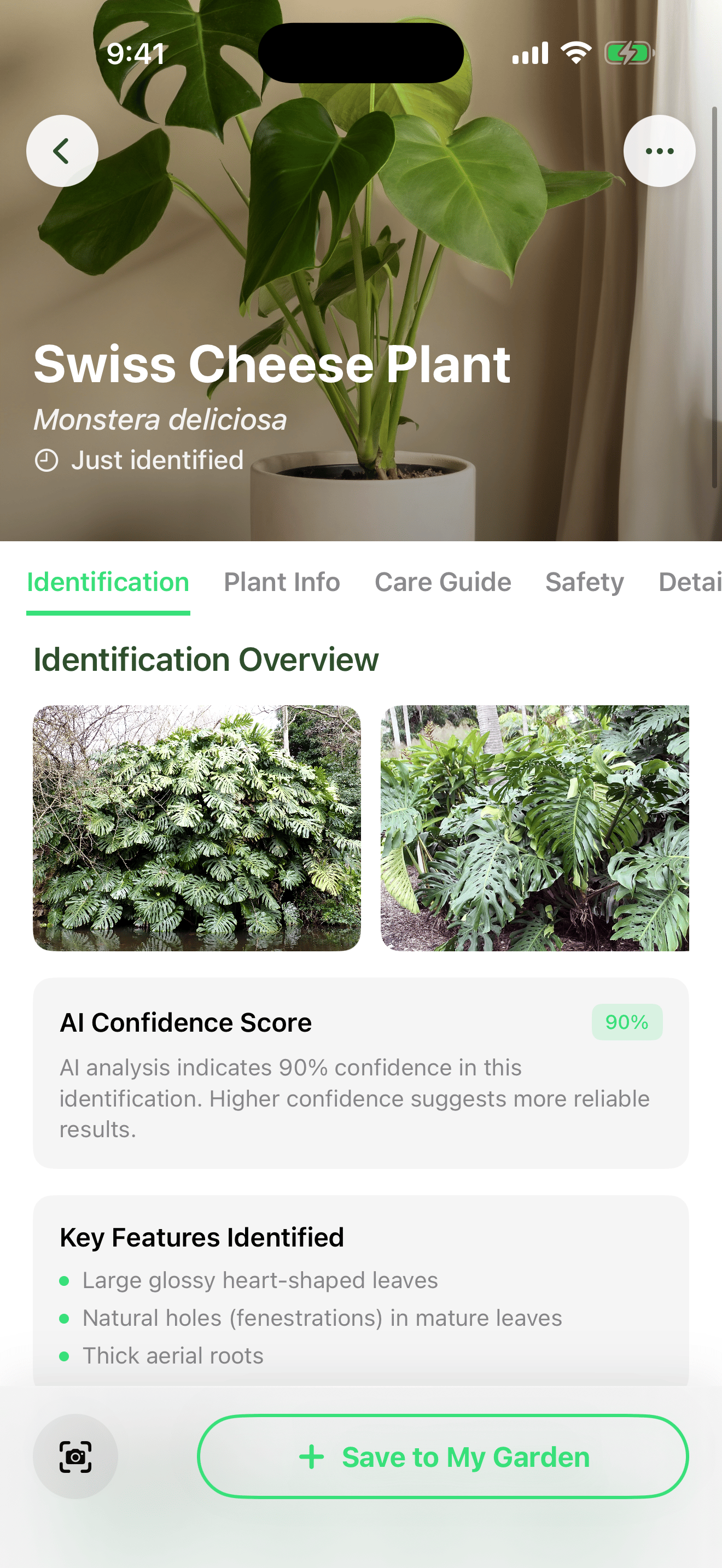 PlantCopilot identification screen